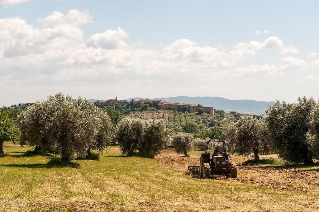 Tenuta Campospillo Magliano in Toscana Exterior photo