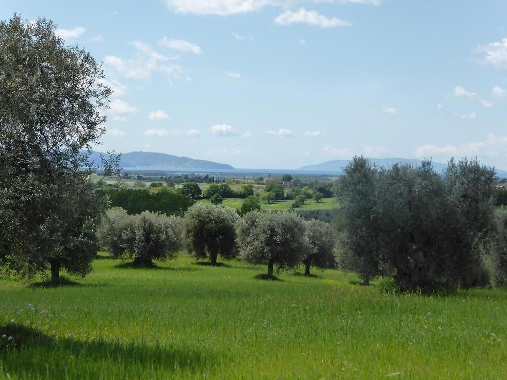 Tenuta Campospillo Magliano in Toscana Exterior photo