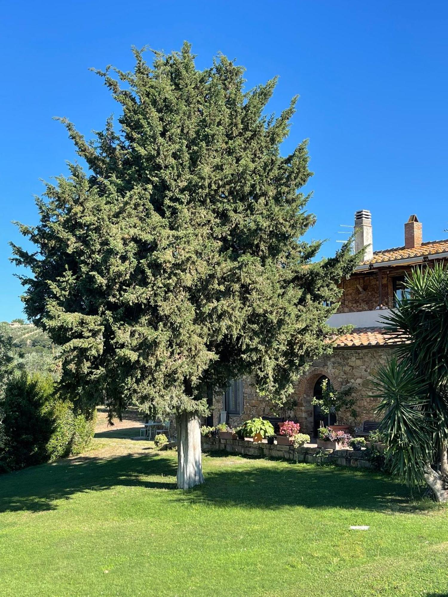 Tenuta Campospillo Magliano in Toscana Exterior photo