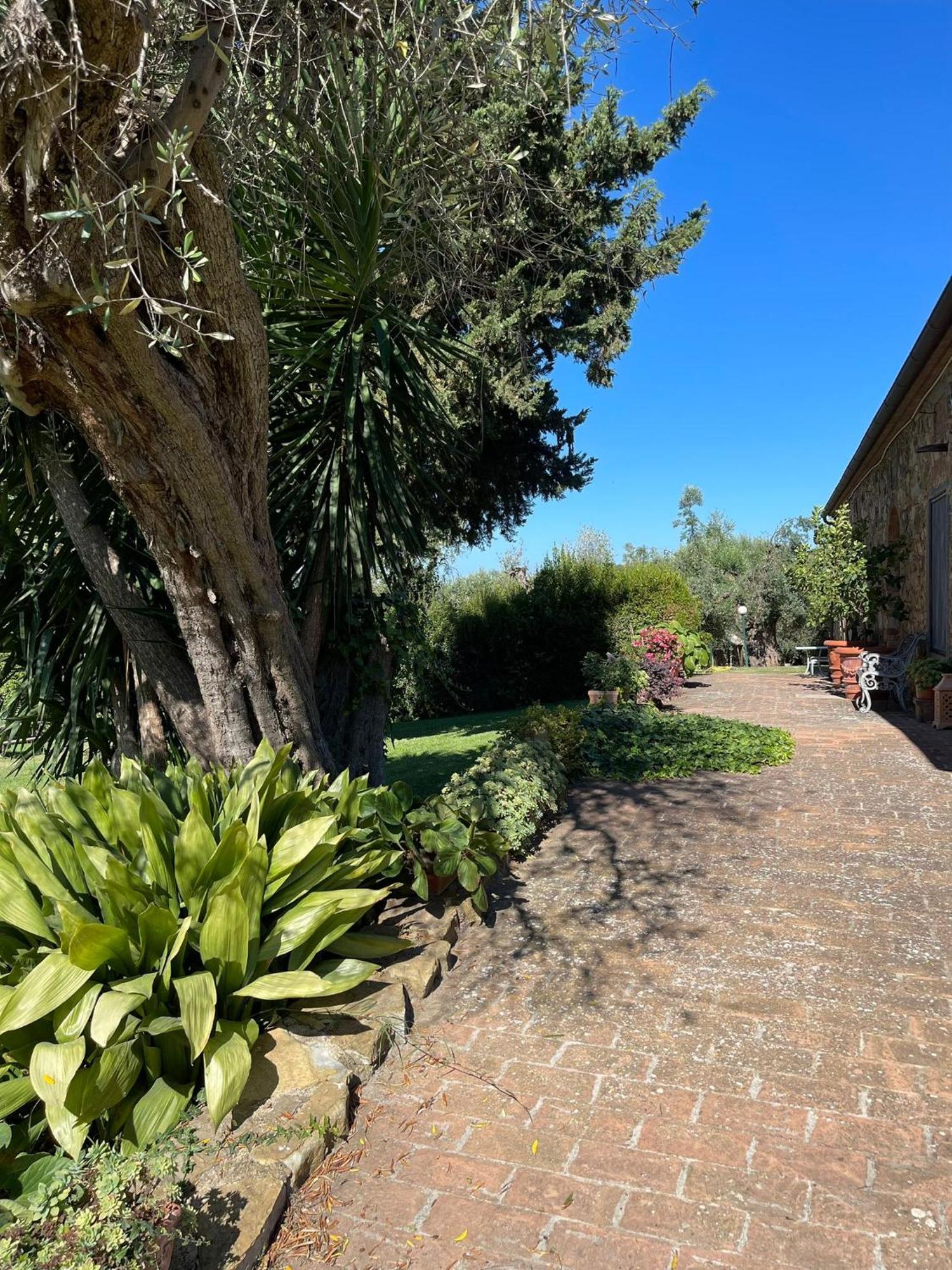 Tenuta Campospillo Magliano in Toscana Exterior photo